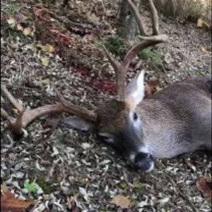 Meet your Posher, Luke